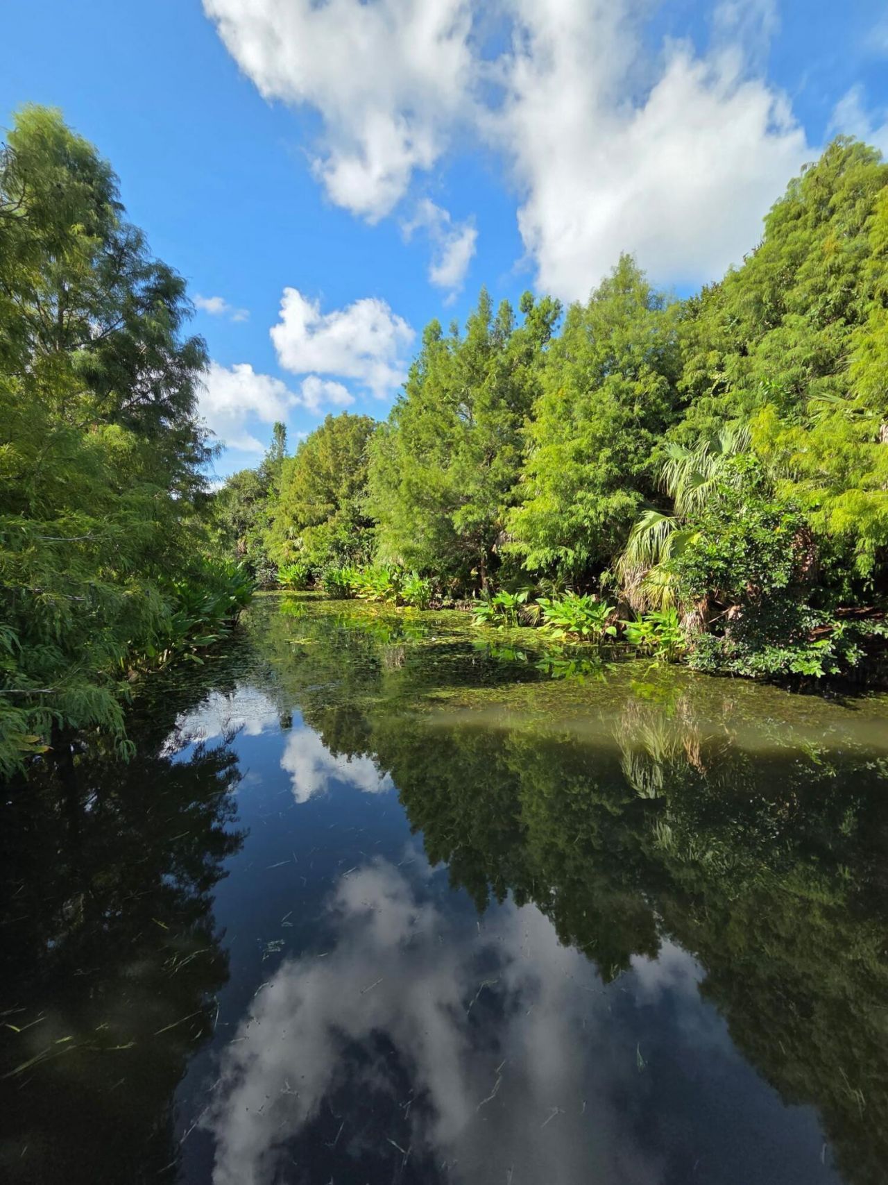 2078 SE Glen Ridge Drive, Port Saint Lucie, FL 34952 Photo