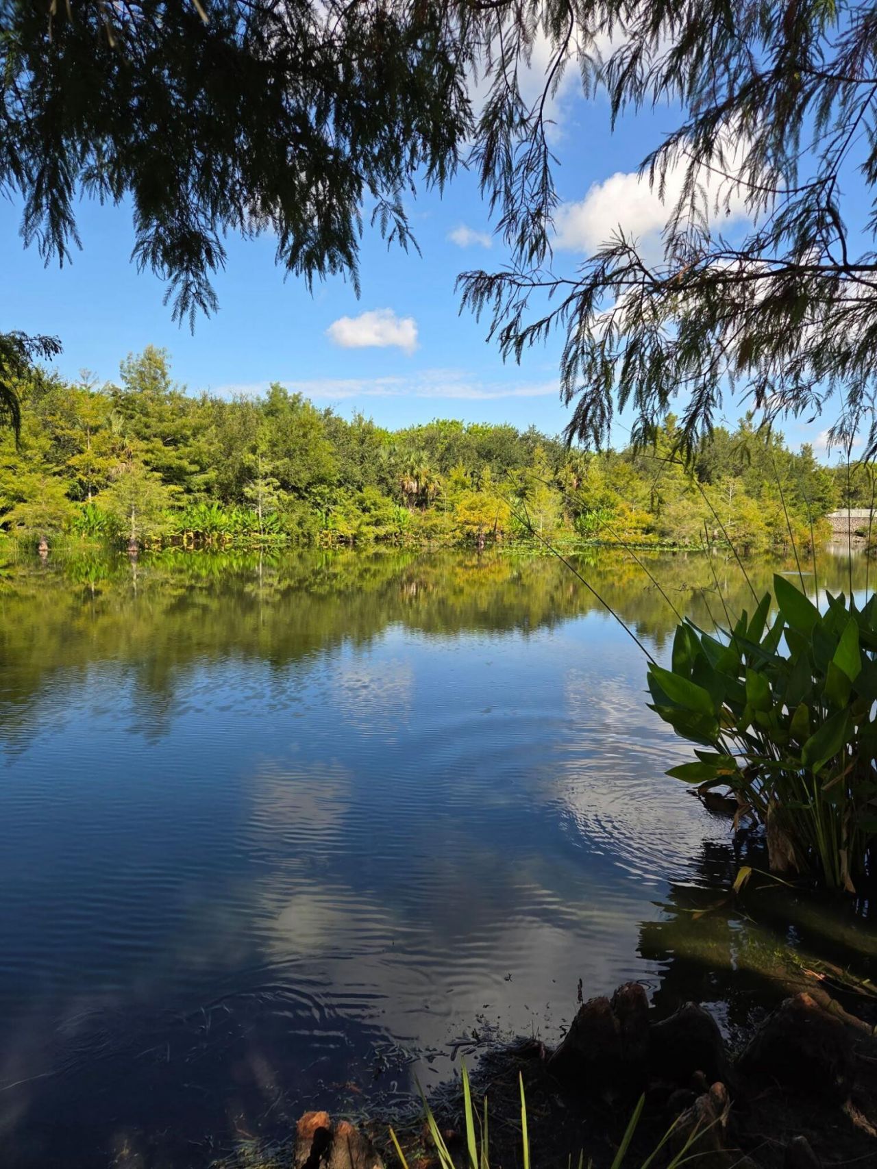 2078 SE Glen Ridge Drive, Port Saint Lucie, FL 34952 Photo