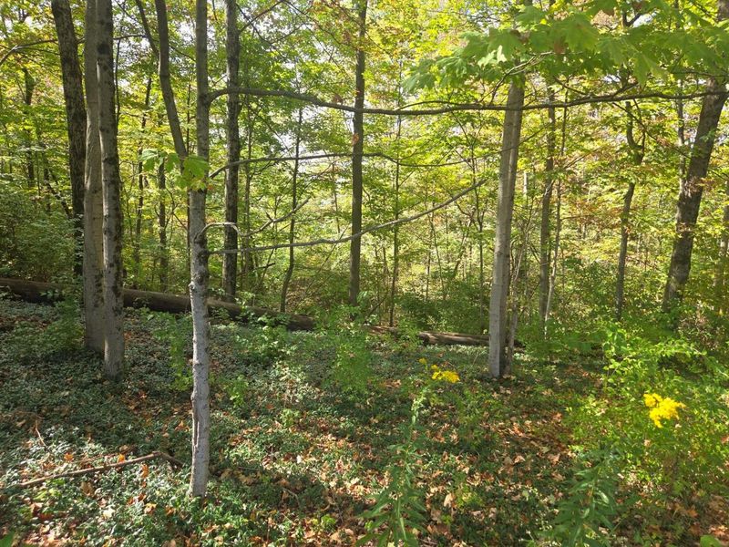 0 Beecher Crossing, Columbus, OH 43230 Photo 3