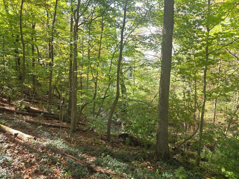 0 Beecher Crossing, Columbus, OH 43230 Photo 4