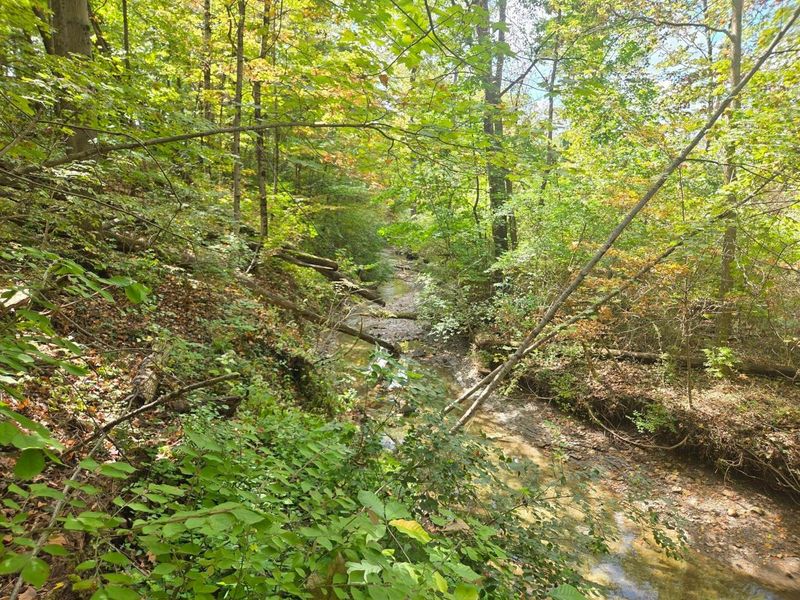 0 Beecher Crossing, Columbus, OH 43230 Photo 5