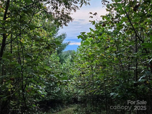 000 Double Island Road, Green Mountain, NC 28740