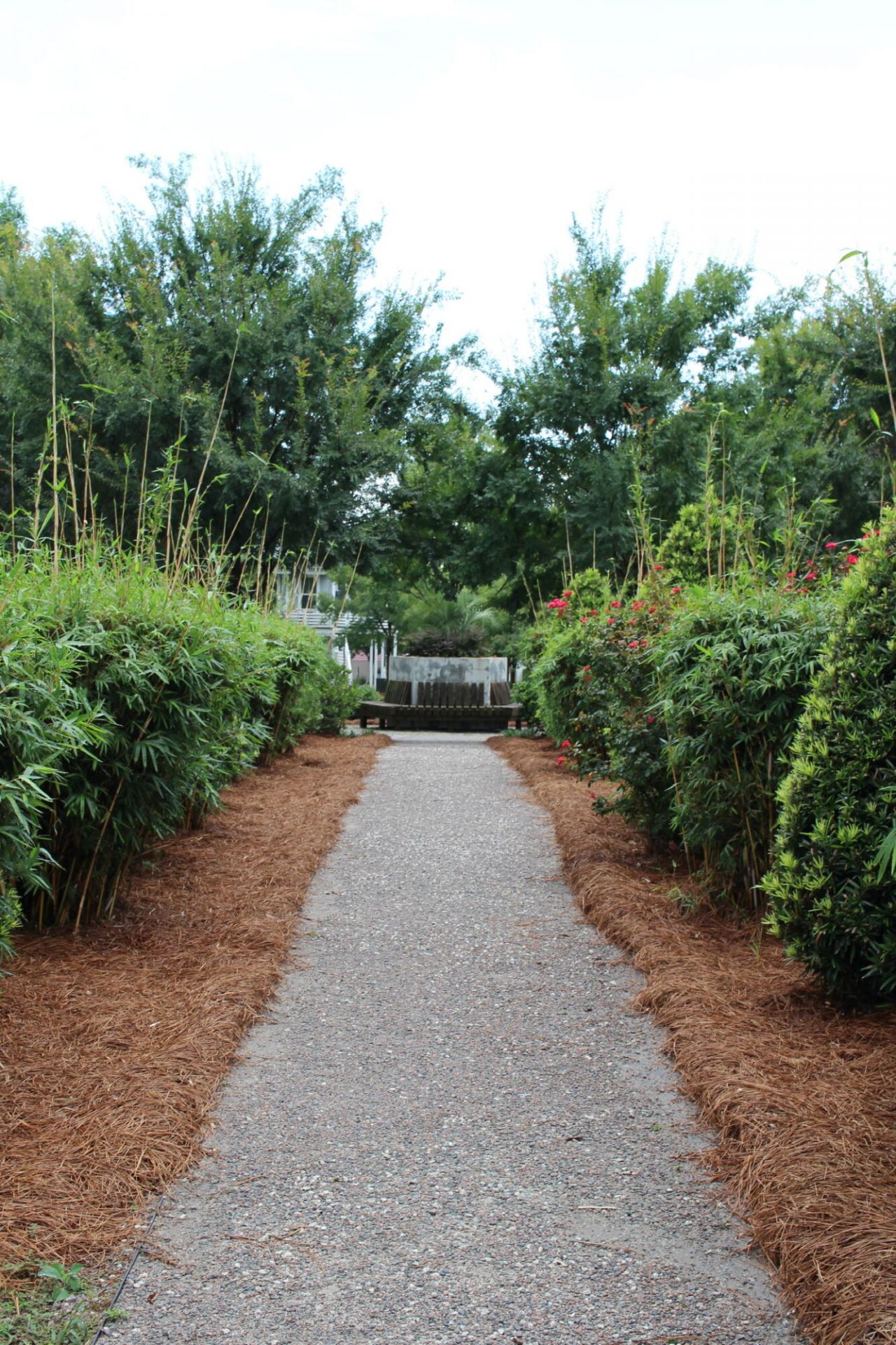 1657 Indy Drive Photo 53