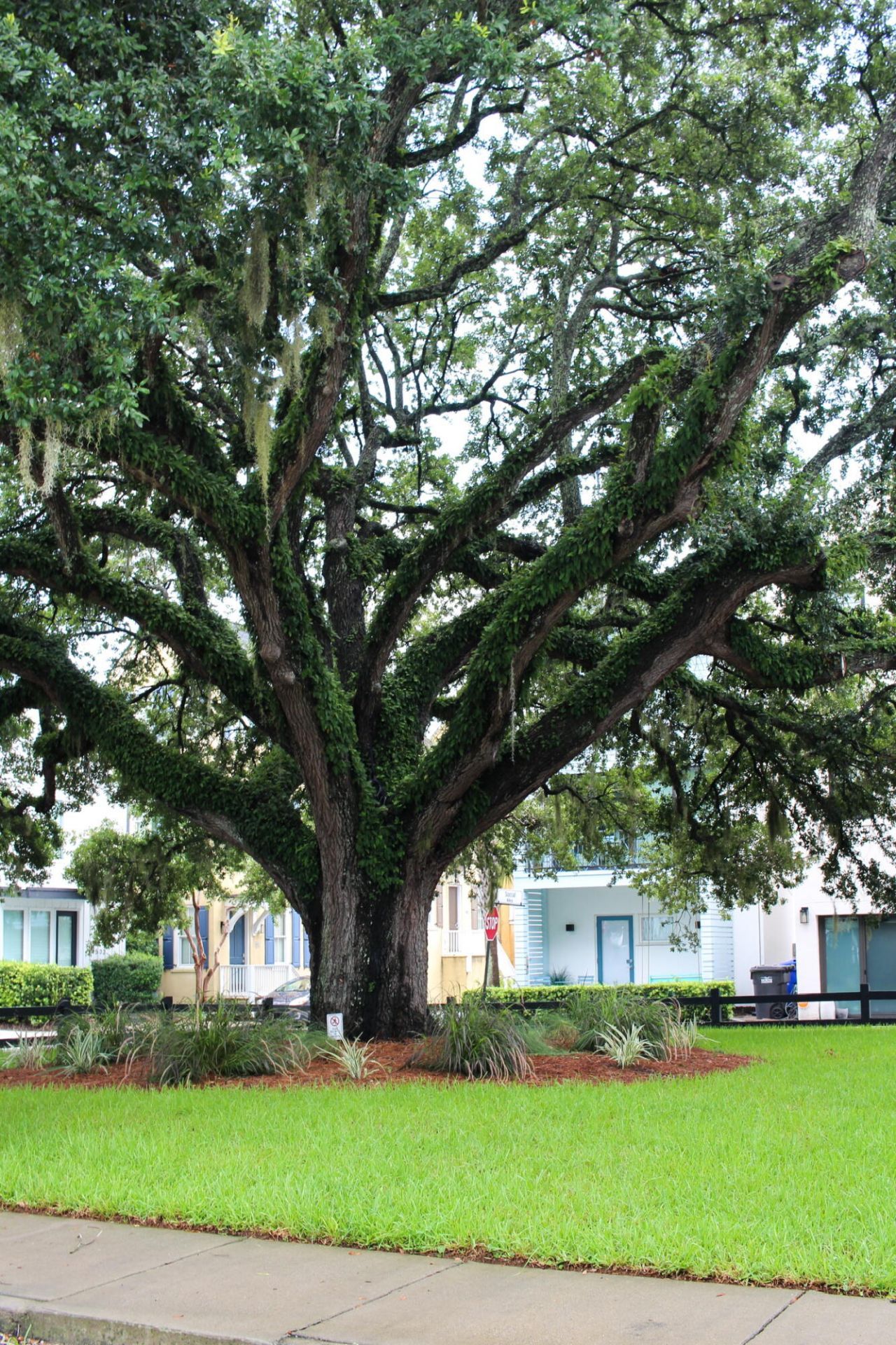 1657 Indy Drive Photo 56