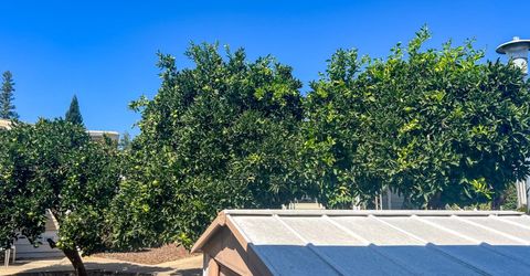 291 Meadowrock Way, Folsom, CA 95630 Photo