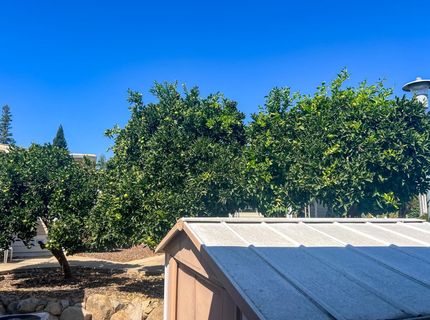 291 Meadowrock Way, Folsom, CA 95630 Photo