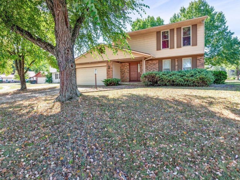 3471 Treehouse Lane, Canal Winchester, OH 43110 Photo 2