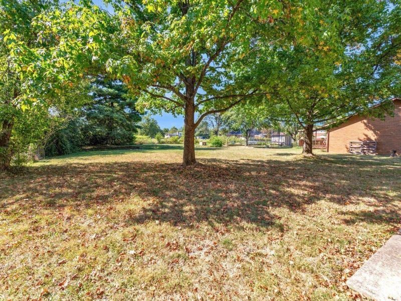 3471 Treehouse Lane, Canal Winchester, OH 43110 Photo 43