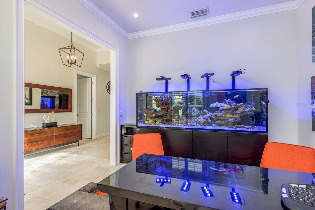 7811 Bay Drive, Unit A, Tampa, FL 33635 Photo