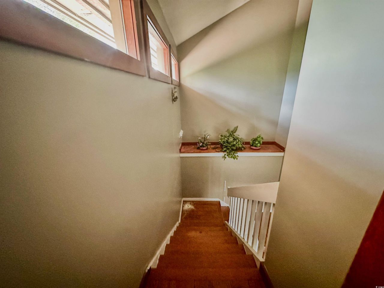 8028 Myrtle Trace Dr. Photo 30