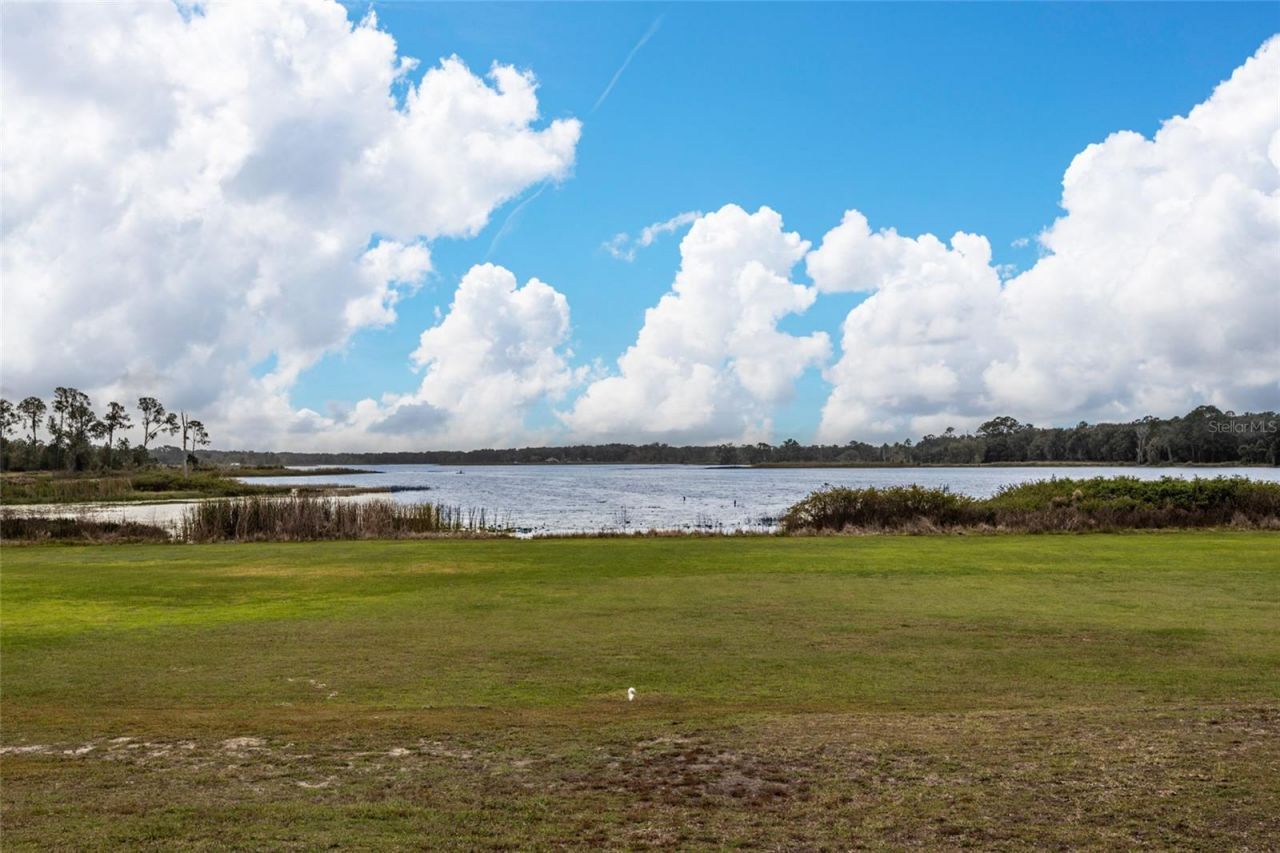 2309 Mcbride Road, Seville, FL 32190 Photo