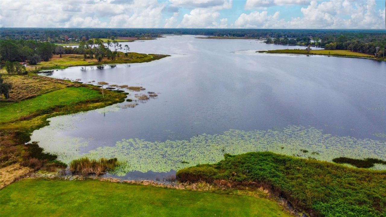 2309 Mcbride Road, Seville, FL 32190 Photo