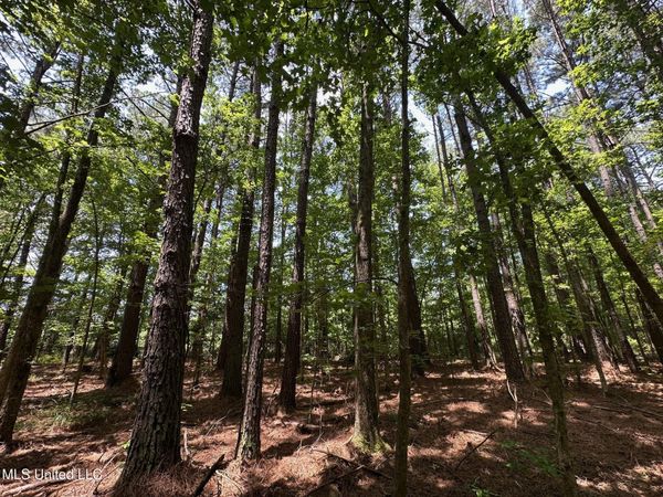 4 County Road 444, Philadelphia, MS 39350