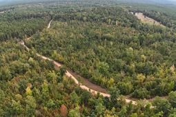 1029 June Berry Road photo 4