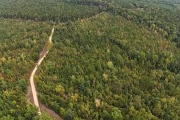 1029 June Berry Road photo 4