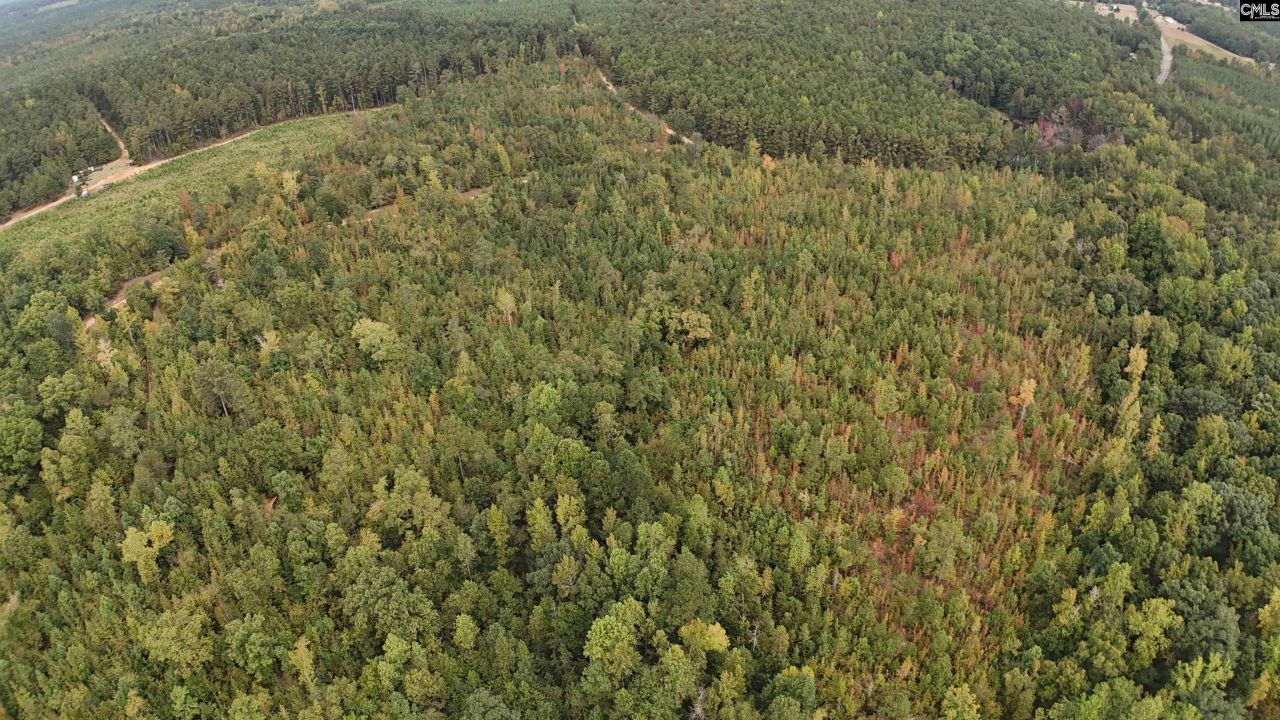 1029 June Berry Road Photo 4