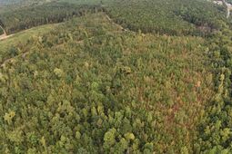 1029 June Berry Road photo 4