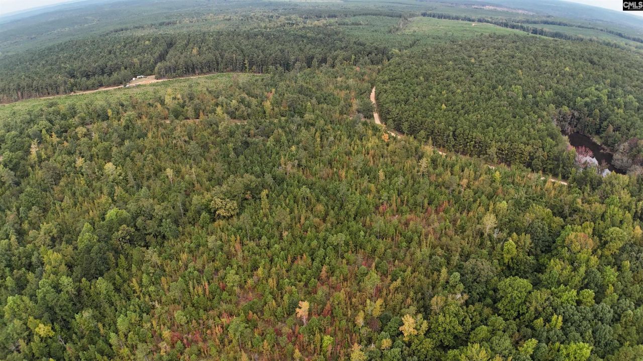 1029 June Berry Road Photo 5