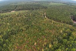 1029 June Berry Road photo 4