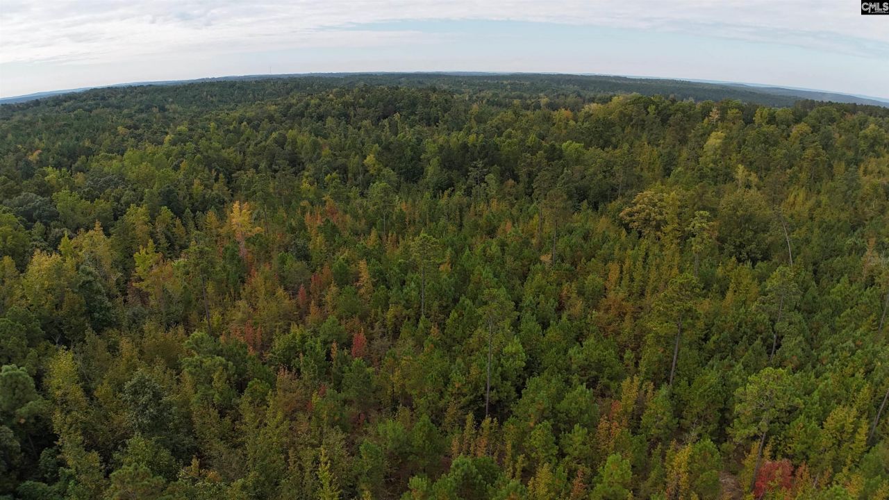 1029 June Berry Road Photo 6