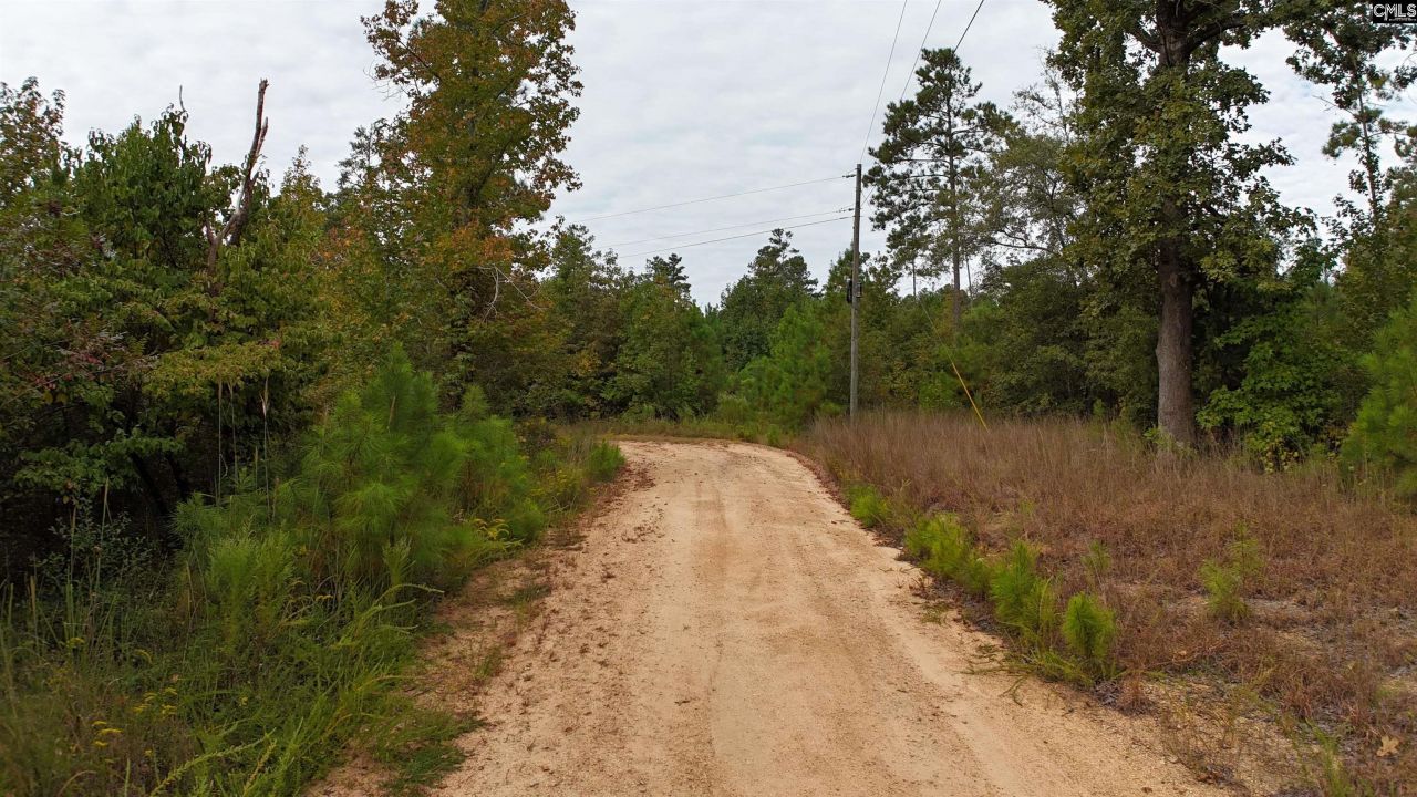 1029 June Berry Road Photo 7