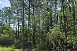 0 Sportsman Island Drive photo 4