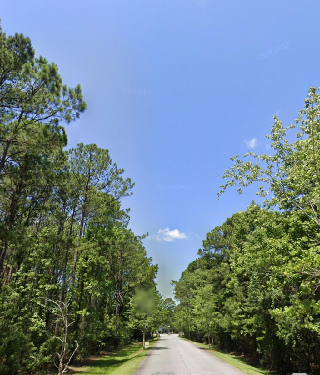 0 Sportsman Island Drive Photo 5