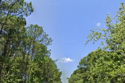 0 Sportsman Island Drive photo 4