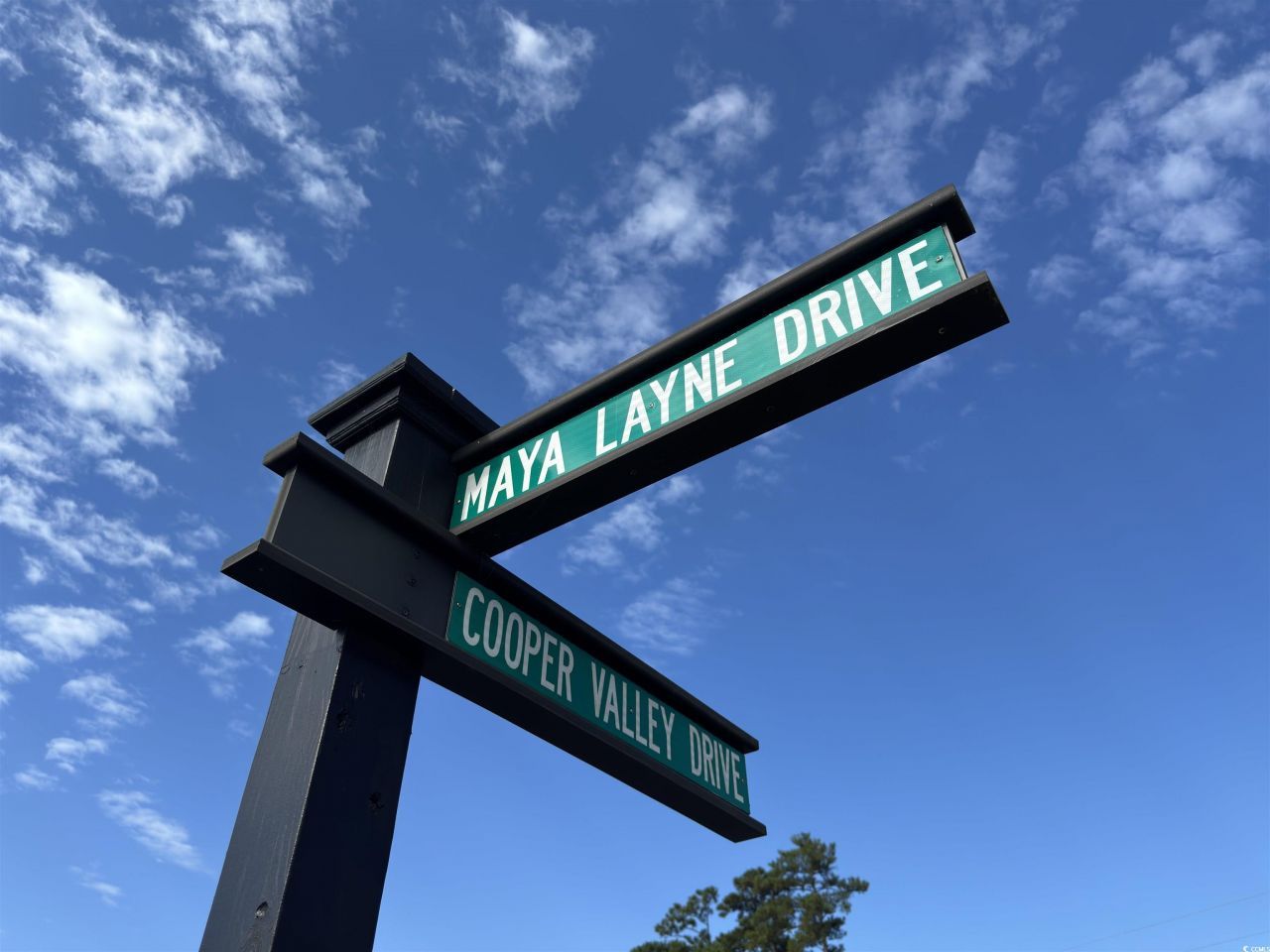 928 Maya Layne Dr. Photo 35