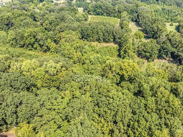 0 WILLOW OAK DR, Arlington, TN 38002