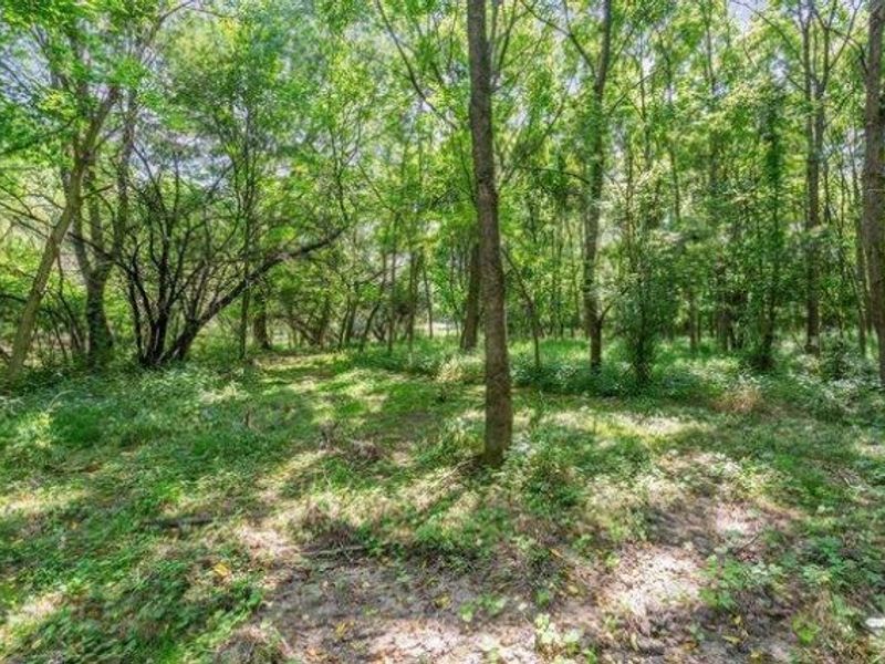 2751 Silver Street, Unit Lot #1, Granville, OH 43023 Photo 10