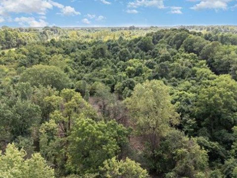 2751 Silver Street, Unit Lot #1, Granville, OH 43023 Photo 4