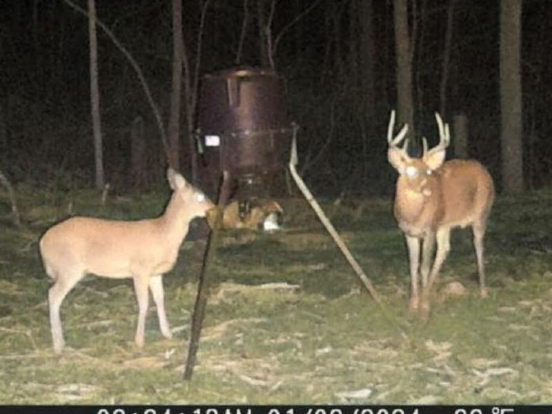 0 Leffler Road, Roseville, OH 43777 Photo 12