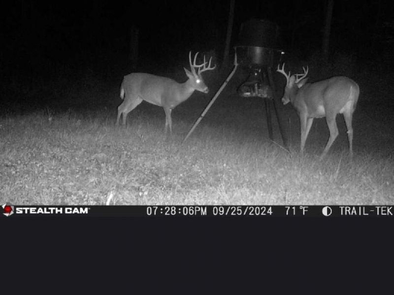 0 Leffler Road, Roseville, OH 43777 Photo 15