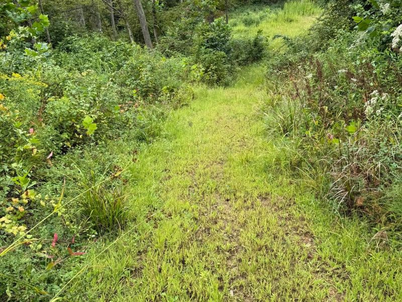 0 Leffler Road, Roseville, OH 43777 Photo 5