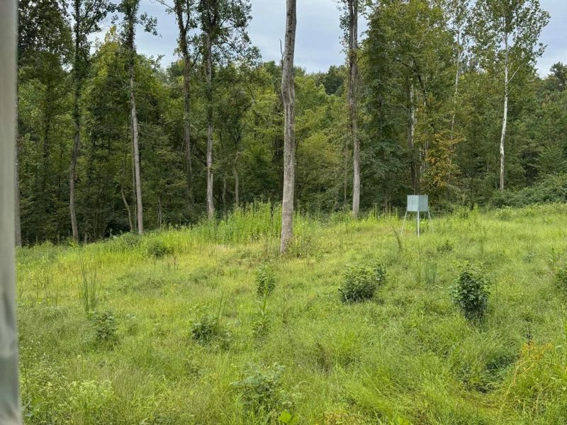 0 Leffler Road, Roseville, OH 43777 Photo 7