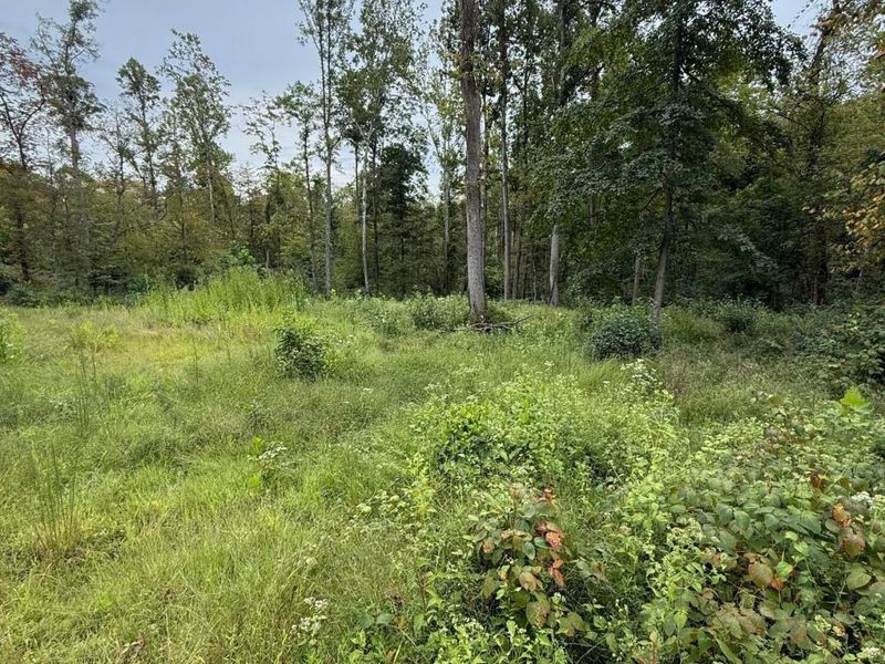 0 Leffler Road, Roseville, OH 43777 Photo 8