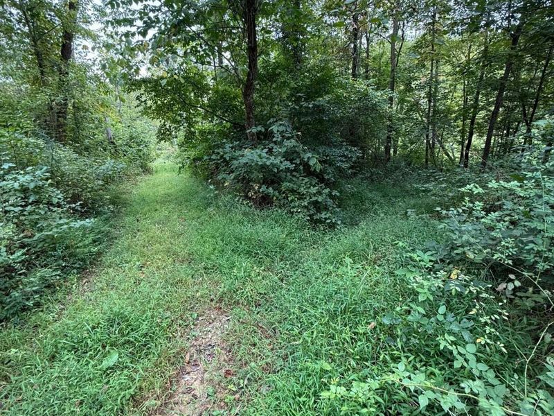 0 Leffler Road, Roseville, OH 43777 Photo 9