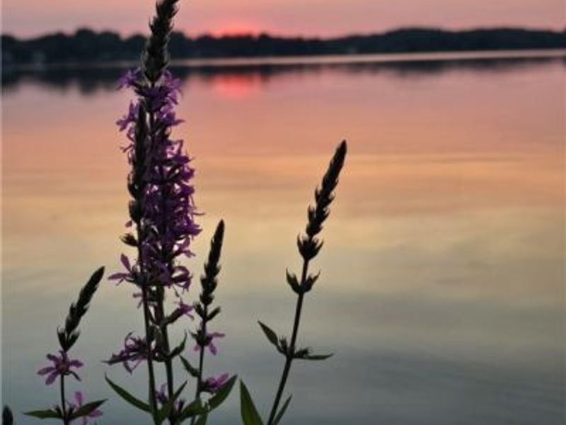 1376 Catherine Extension Avenue, Lakemore, OH 44250 Photo 27