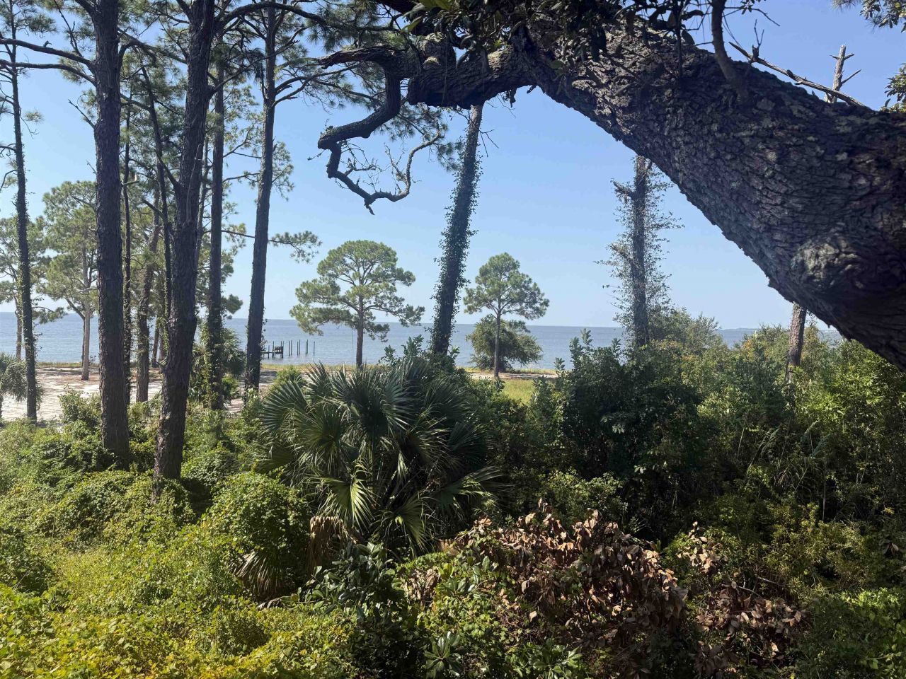 17 S Bayshore Drive, East Point, FL 32328 Photo