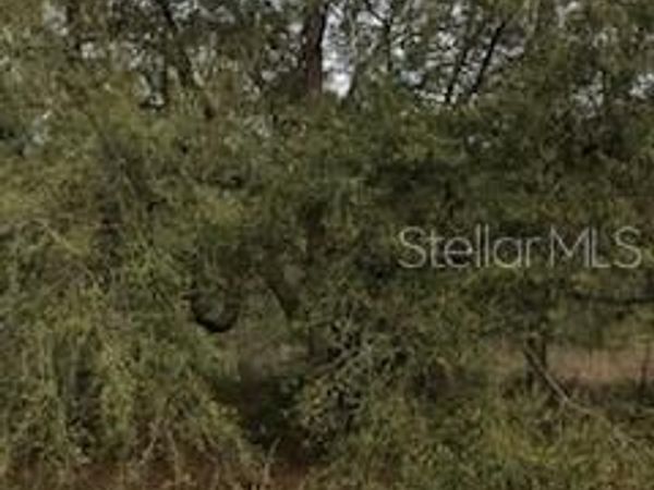 KENT, INTERLACHEN, FL 32148