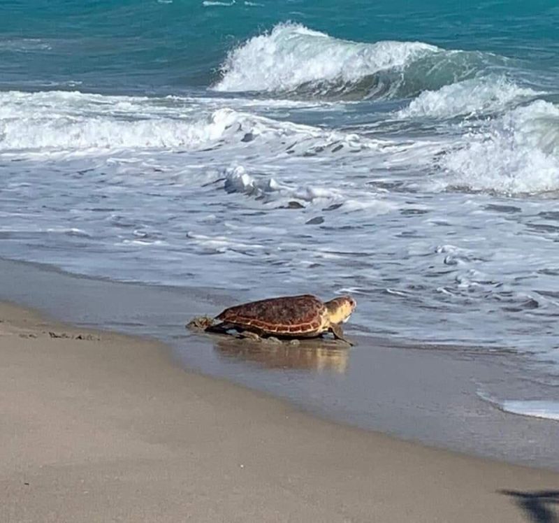 501 Mainsail Circle, Jupiter, FL 33477 Photo