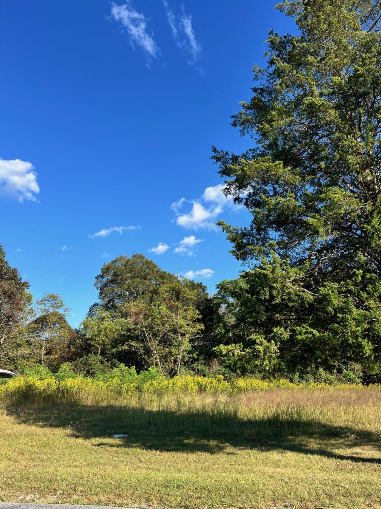 0 Pike Rd, Montvale, VA 24122 Main Photo