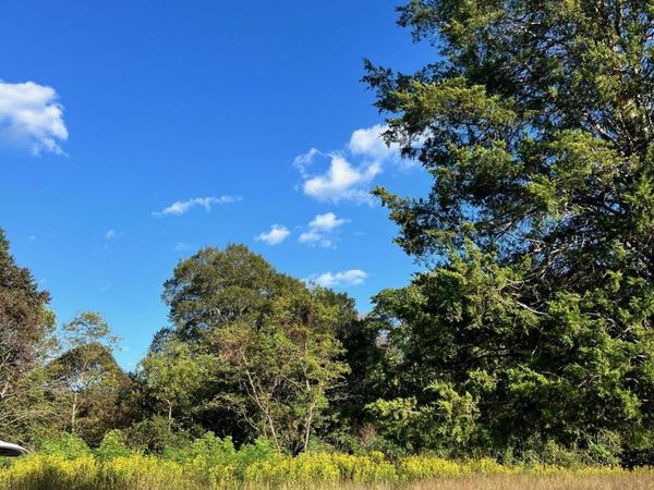 0 Pike RD, Montvale, VA 24122