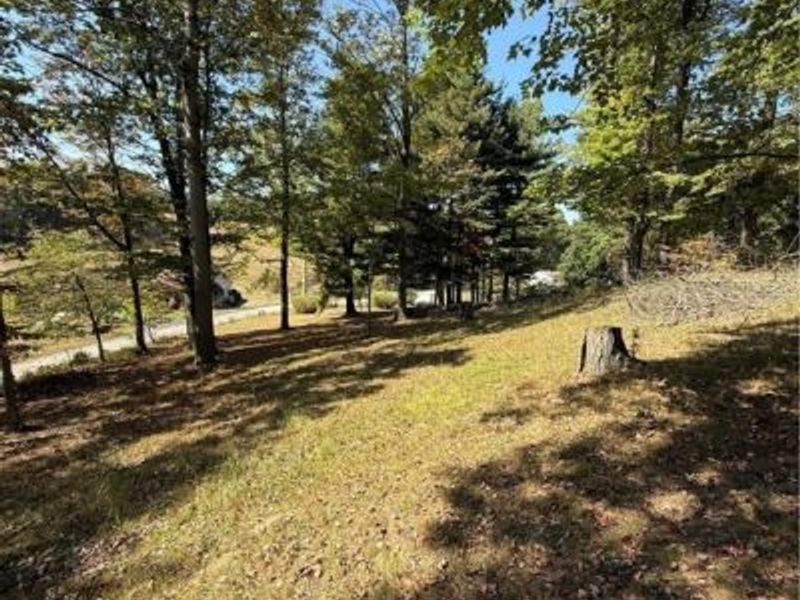 Deer Road SW, Bowerston, OH 44695 Photo 6