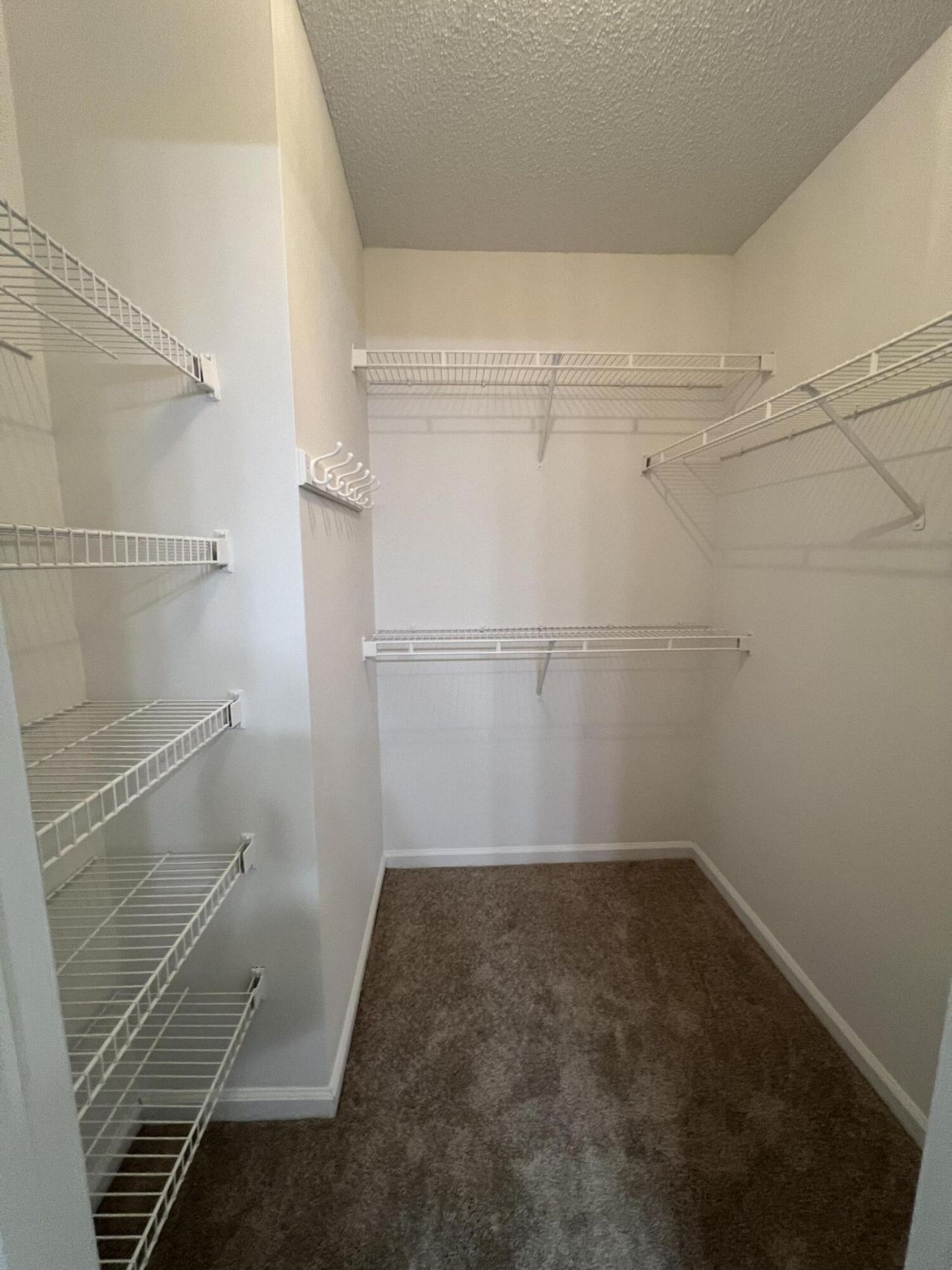 1527 Blaze Lane Photo 15