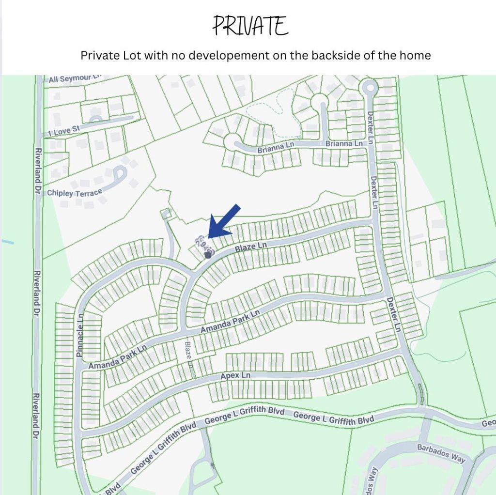 1527 Blaze Lane Photo 19