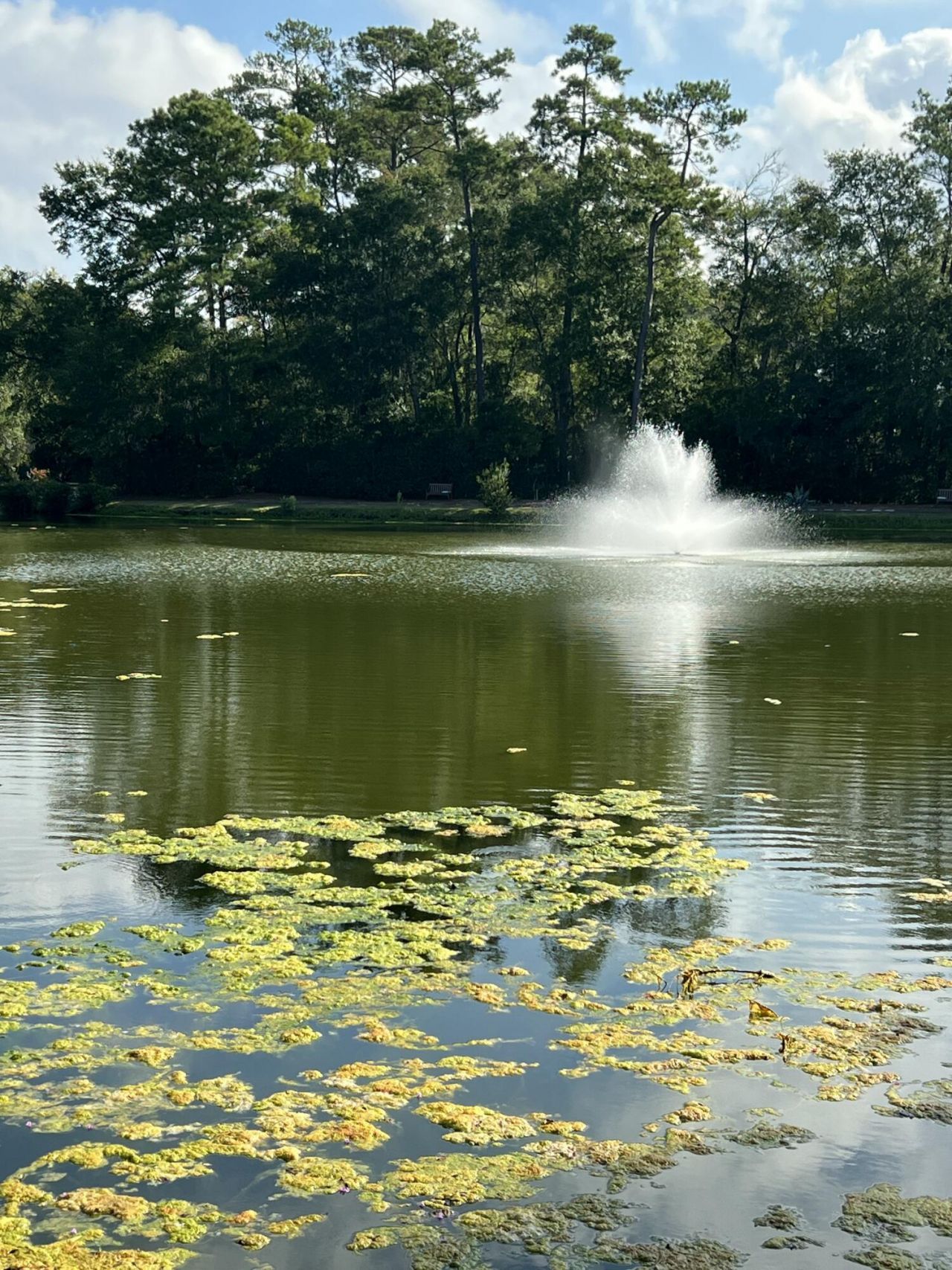 1527 Blaze Lane Photo 23