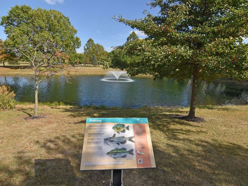 5781 Wilcox Road, Dublin, OH 43016 Photo 70