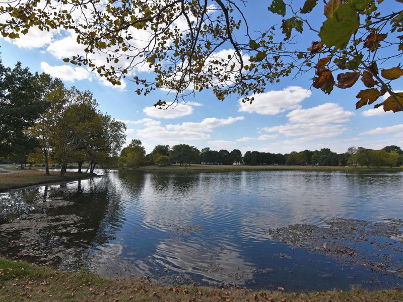 5781 Wilcox Road, Dublin, OH 43016 Photo 76